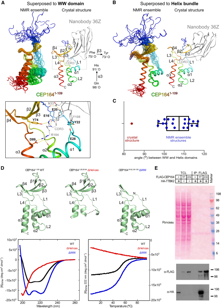 Figure 2