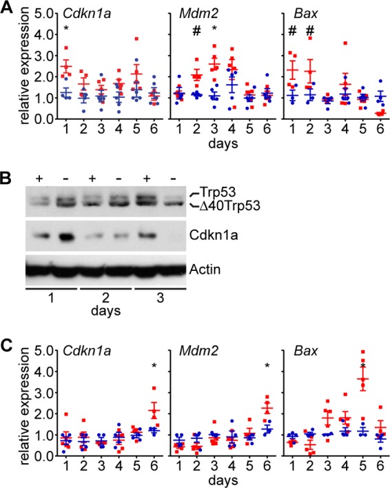 Fig 6