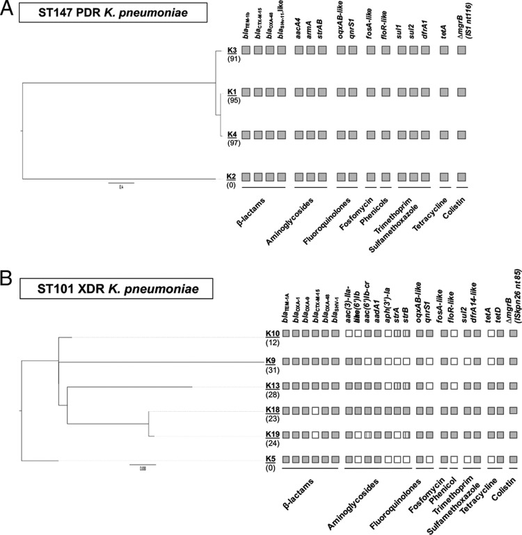 FIG 2