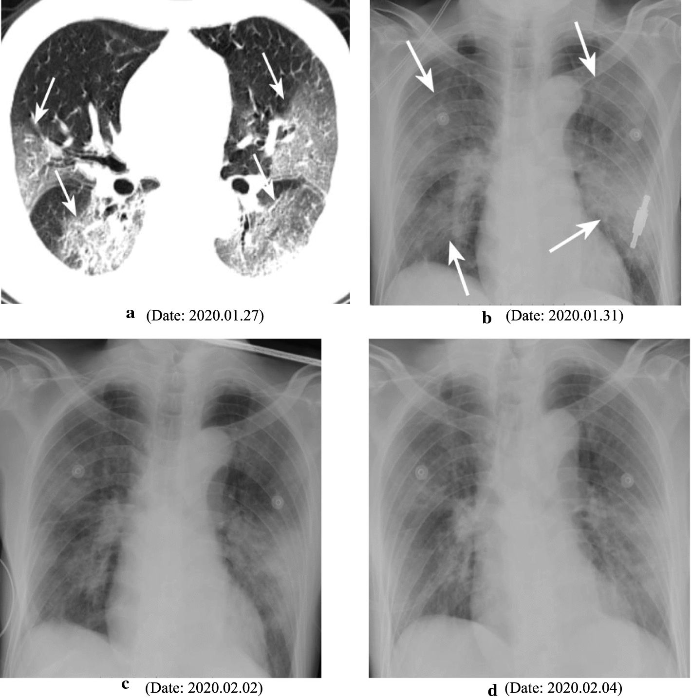 Fig. 3