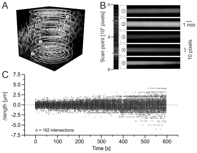 Fig. 3