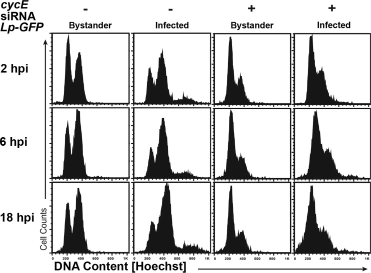 FIG 4 