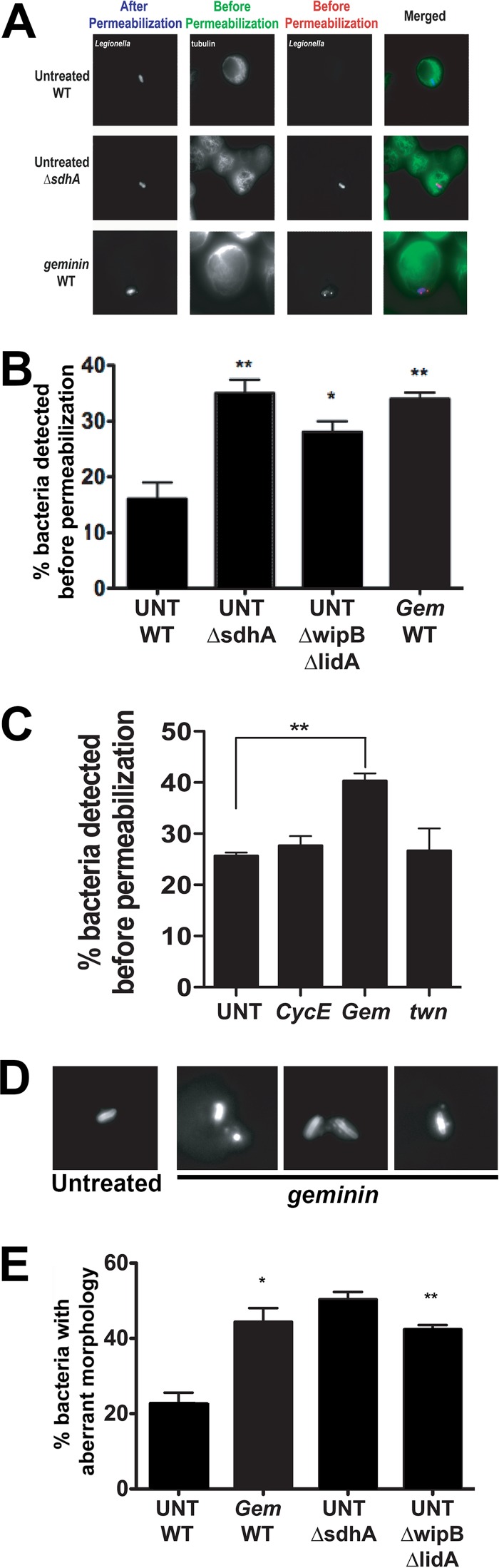 FIG 6 