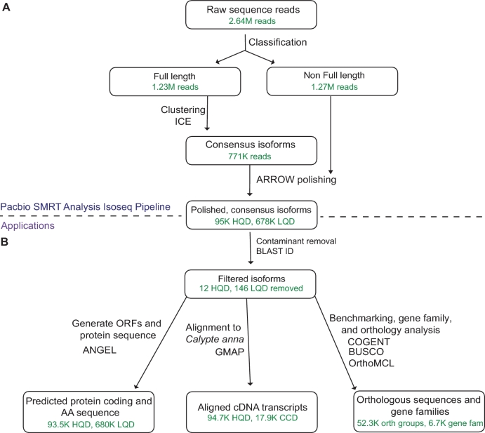 Figure 2: