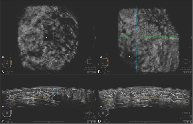 Fig. 9