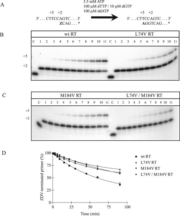 FIG. 1.