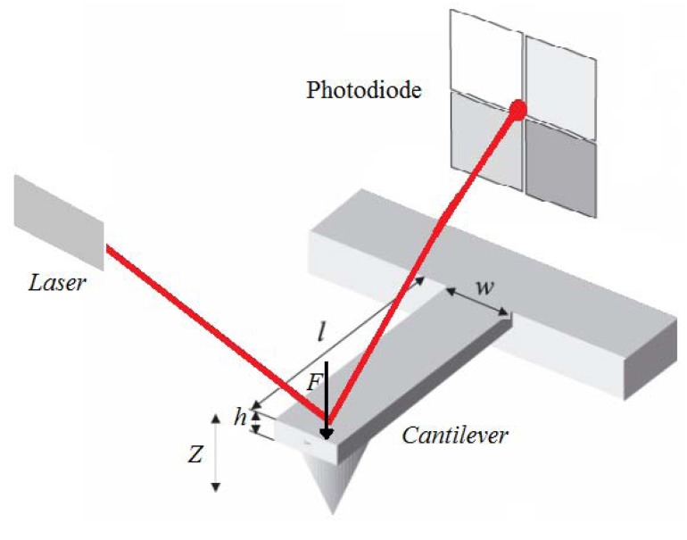 Figure 5.