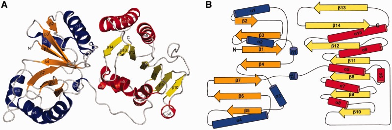 Figure 3.