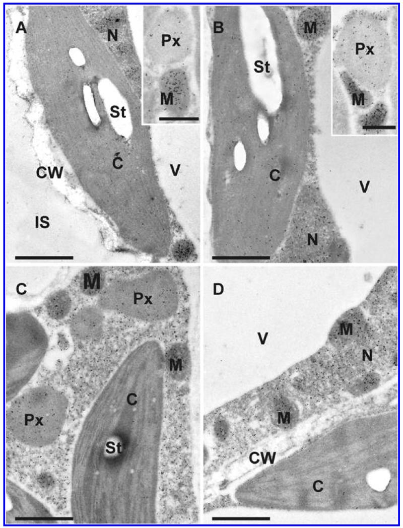 Fig. 7