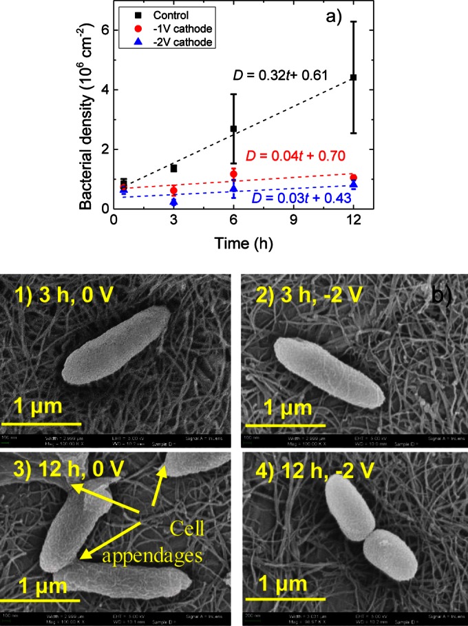 FIG 6