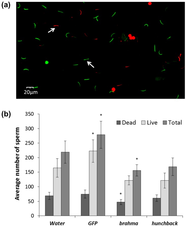 Figure 5