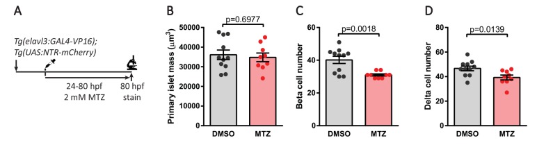 Figure 7—figure supplement 3.