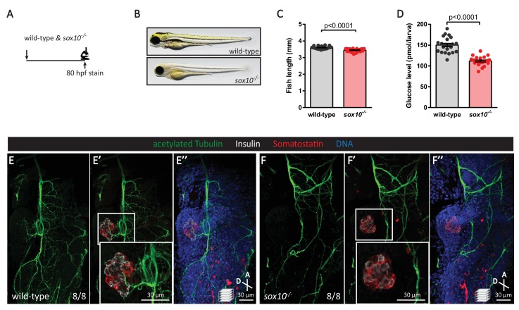 Figure 4—figure supplement 1.