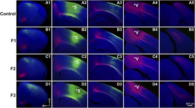 FIGURE 4