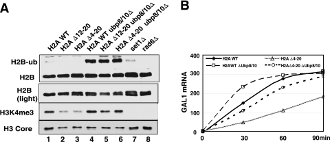 FIG. 5.