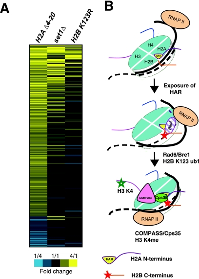 FIG. 7.