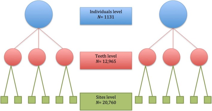 Fig. 1