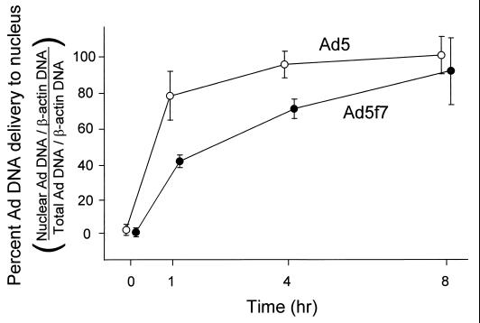 FIG. 6