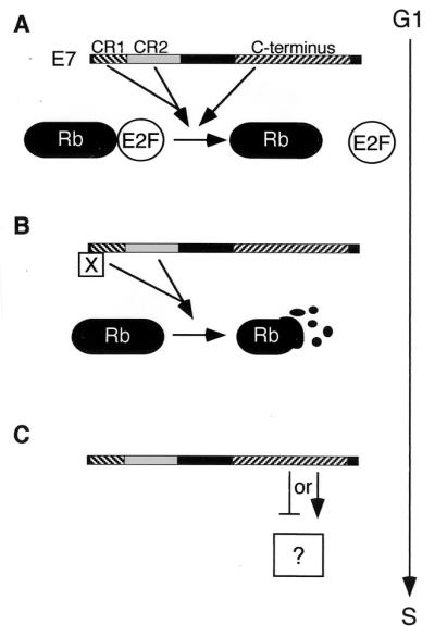 FIG. 8