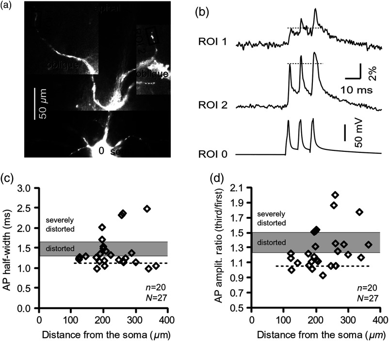 Fig. 2