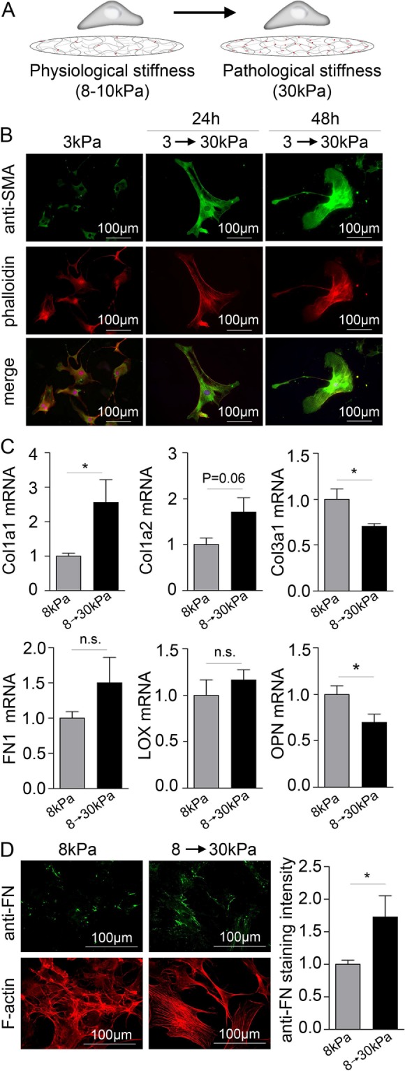 FIGURE 4: