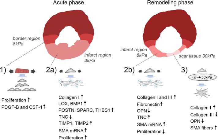 FIGURE 5: