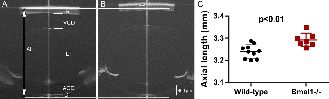 Figure 6: