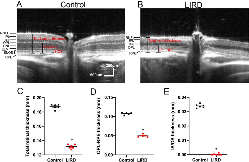 Figure 3: