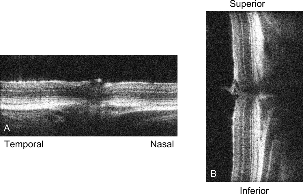 Figure 2: