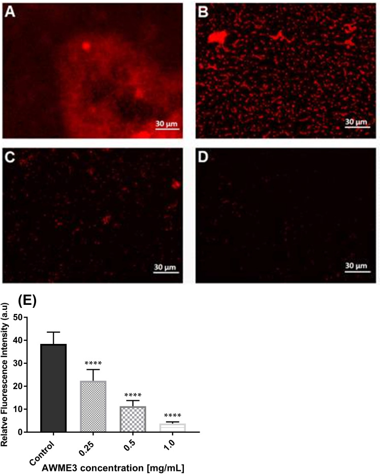 Figure 3