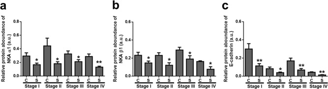 Fig 5