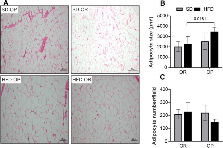Fig 4