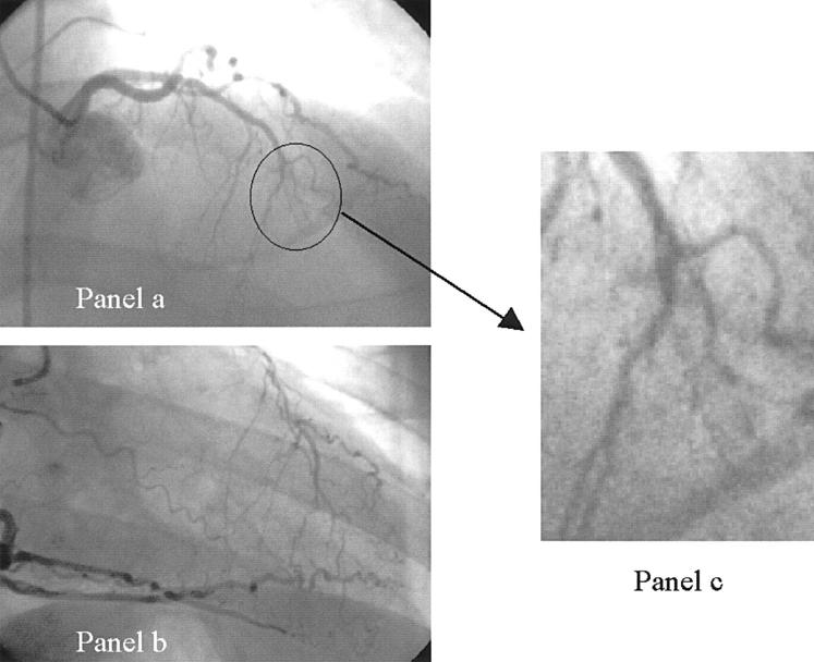 Figure 3  