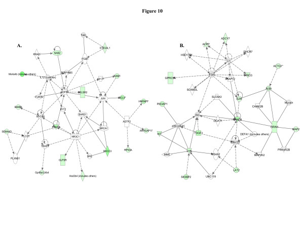 Figure 10