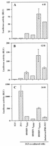 FIG. 3