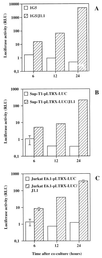 FIG. 2