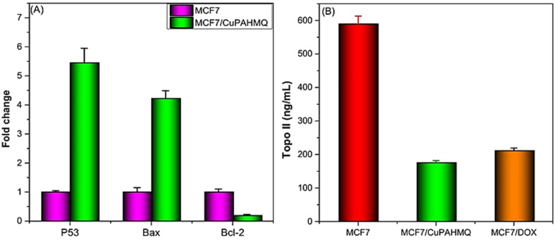 Fig. 7