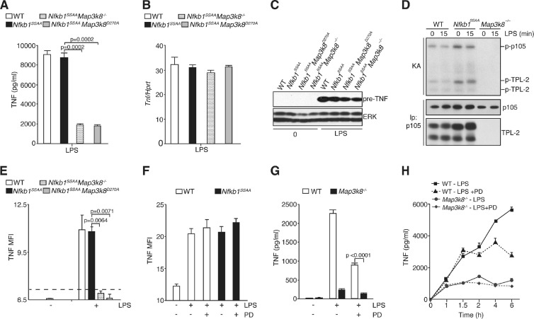 Fig 8