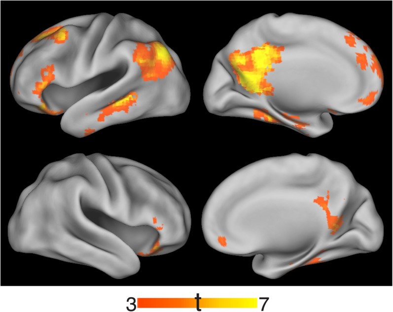 Figure 3—figure supplement 2.