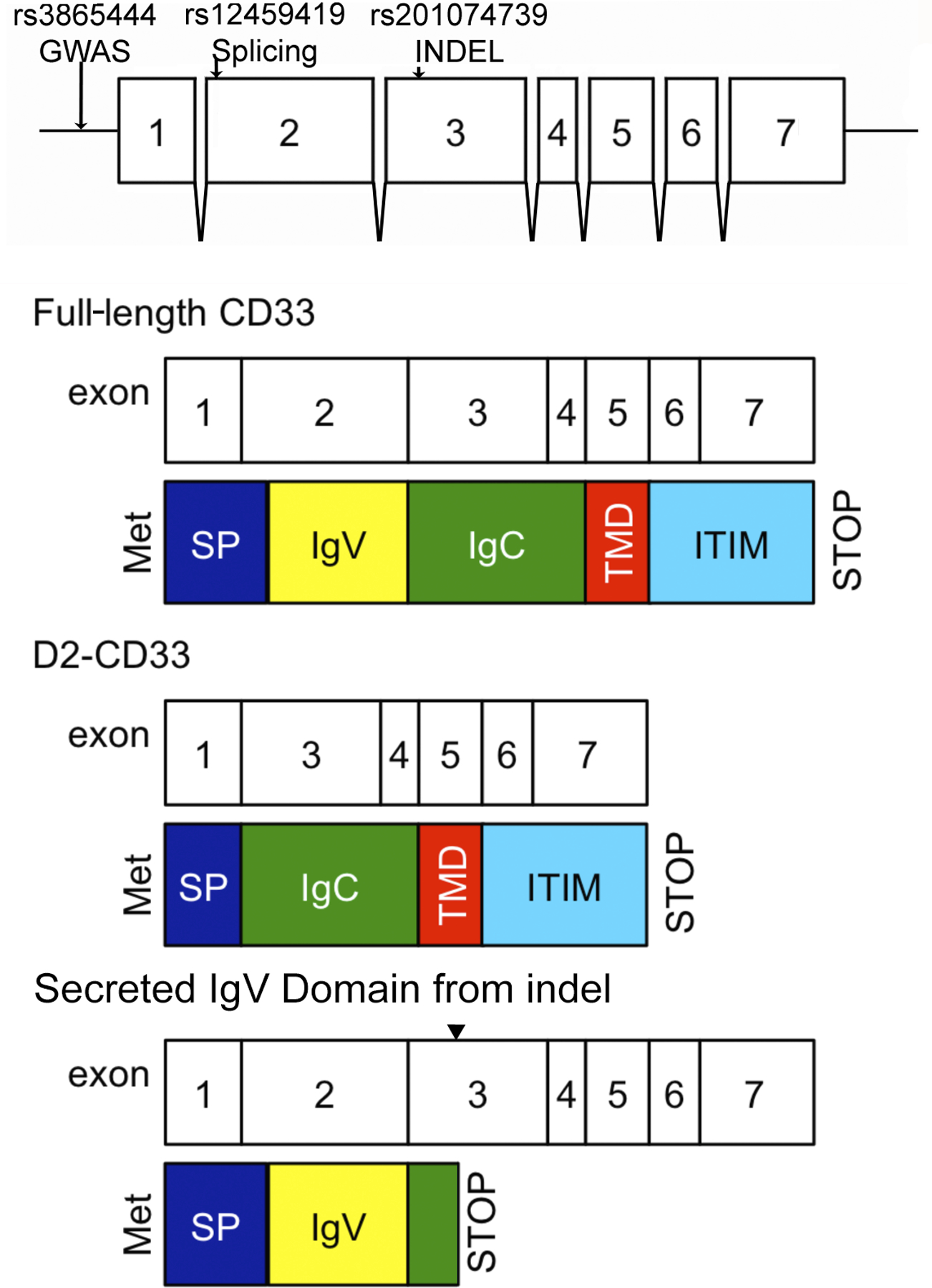 Figure 4.