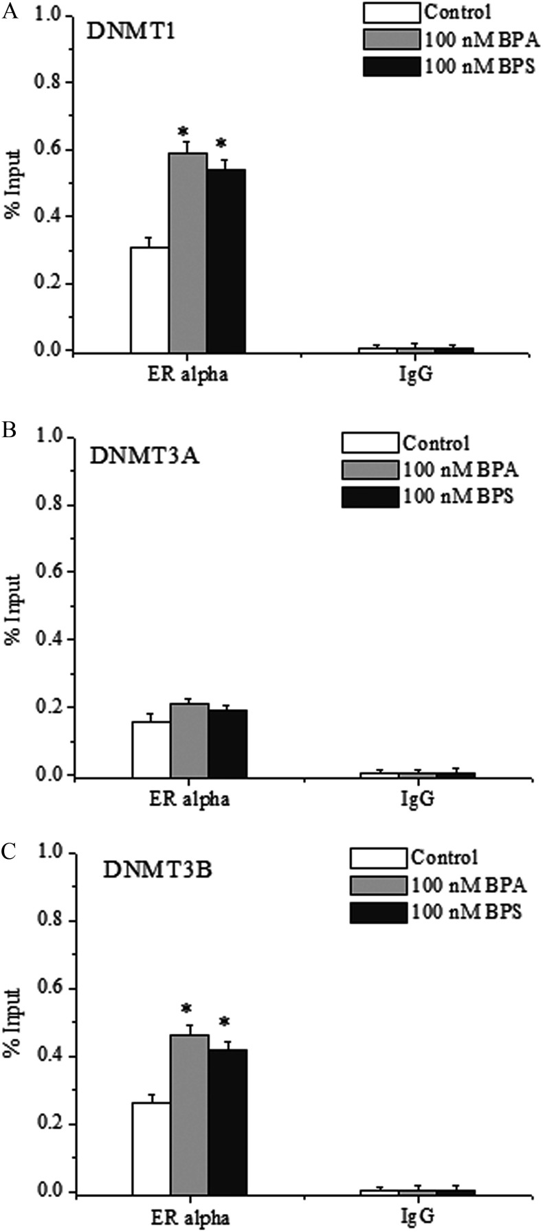 Figures 7A, 7B, and 7C are bar graphs, namely, DNMT1, DNMT3A, and DNMT3B, respectively, plotting percentage input, ranging from 0.0 to 1.0 in increments of 0.2 for control, 100 nanomolar BPA, and 100 nanomolar BPS across ER alpha, IgG (x-axis).