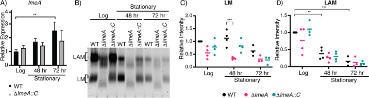 FIG 2