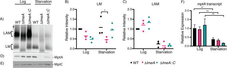 FIG 4