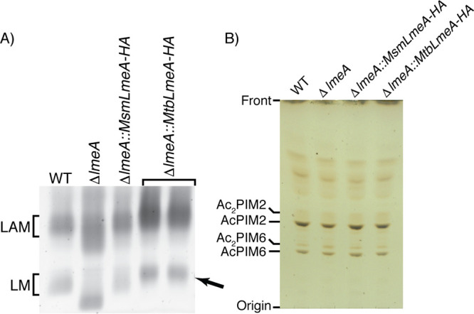 FIG 1