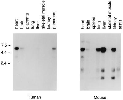 FIG. 7