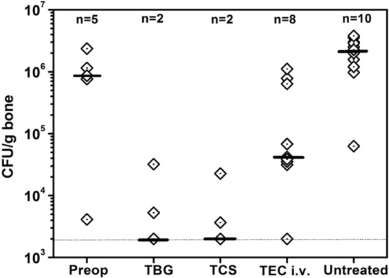 FIG 6