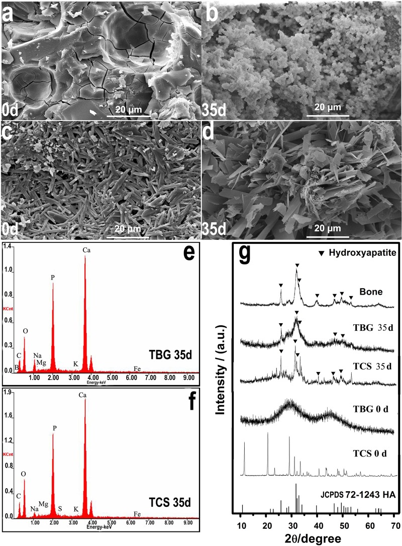 FIG 1