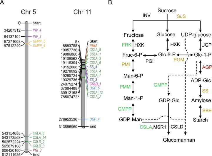 Fig. 7