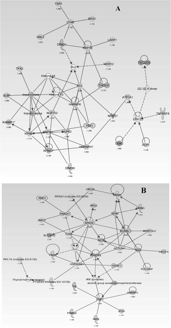 Figure 3 