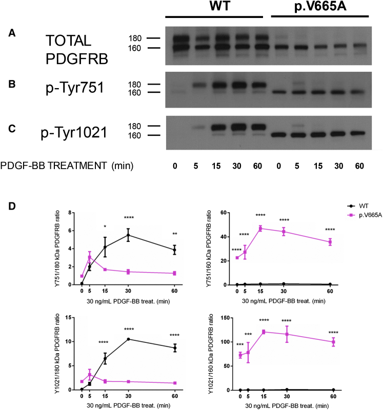 Figure 5